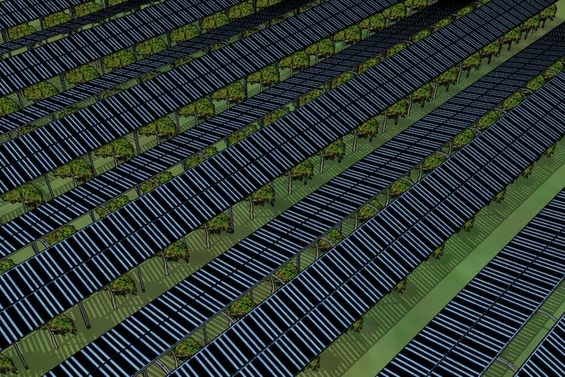 Agro-fotovoltaico