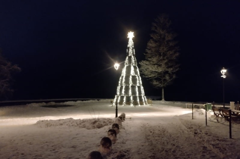 SoliTek ha installato un impianto solare off-grid in un albero di Natale